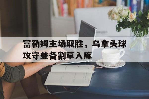 dianjing体育-富勒姆主场取胜，乌拿头球攻守兼备割草入库